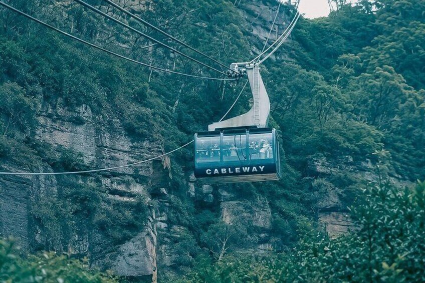 Blue Mountains Private Tour from Sydney: Scenic World & Koalas 4