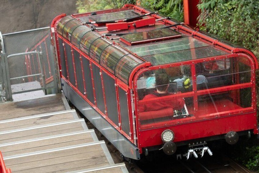 Blue Mountains and Wild Life Private Full-Day Tour from Sydney 4