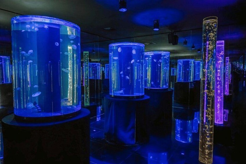 Cylindrical glass aquariums with aquatic life, illuminated by blue and purple lights. 5