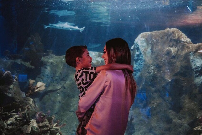 An aquarium with underwater scenes, including fish and rocks. 1