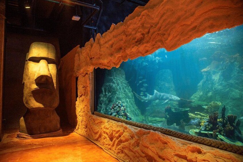 A large stone head sculpture, an aquarium with marine life, and a textured wall. 3