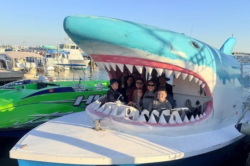 Shark Boat Destin Dolphin Watch and Sunset Cruise 2