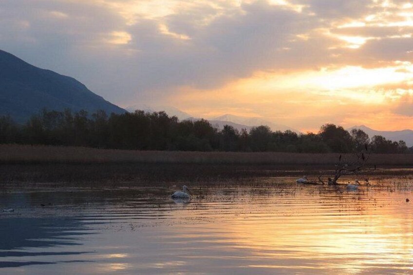 Une rivière paisible dont les eaux reflètent le ciel au coucher du soleil, entourée d’arbres et dominée par une montagne lointaine. 5
