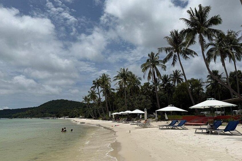 A beach with palm trees, lounge chairs, and umbrellas. 3