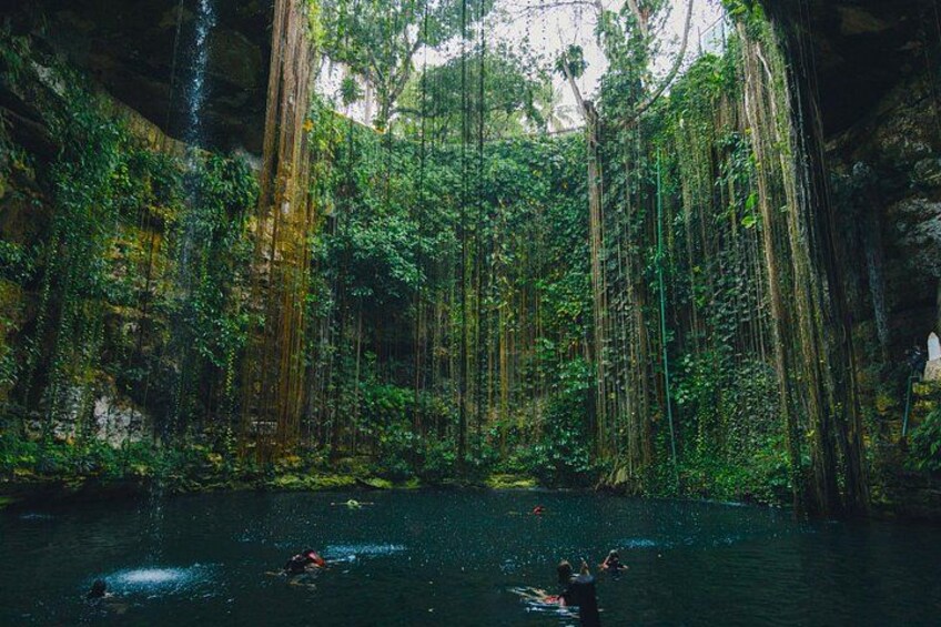 A forested area with a river, people swimming, and tall trees. 2