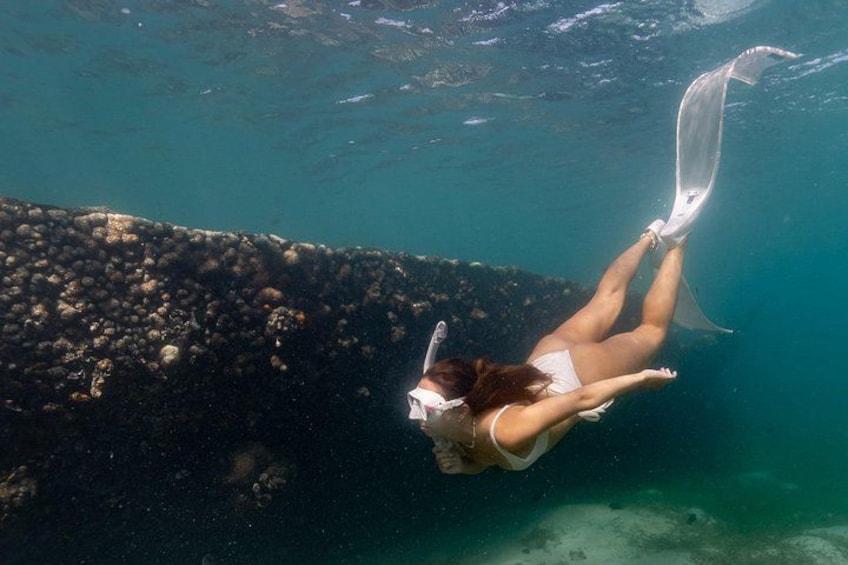 A person scuba diving near a rocky underwater surface. 3