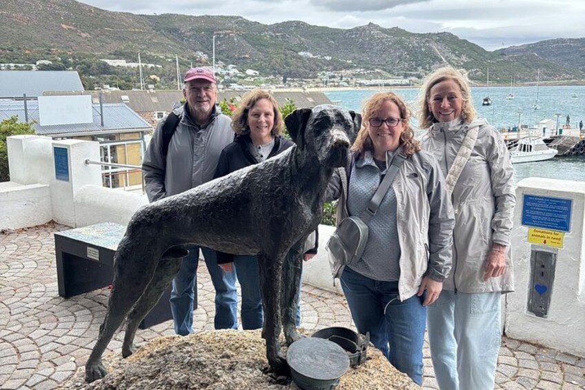 Full Day Private Cape Town and Peninsula Tour 3