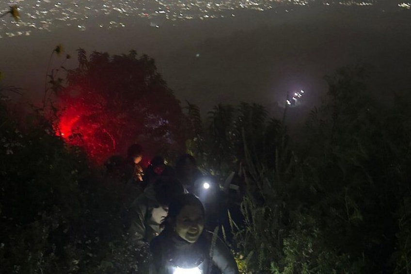 Un groupe de personnes fait une randonnée nocturne, éclairées par des lampes de poche, et sont entourées d’une végétation dense. 2