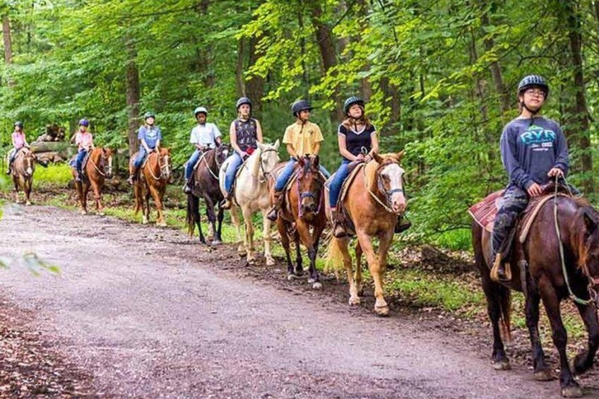 Een groep mensen rijdt op paarden over een onverhard pad, omgeven door bomen. 3