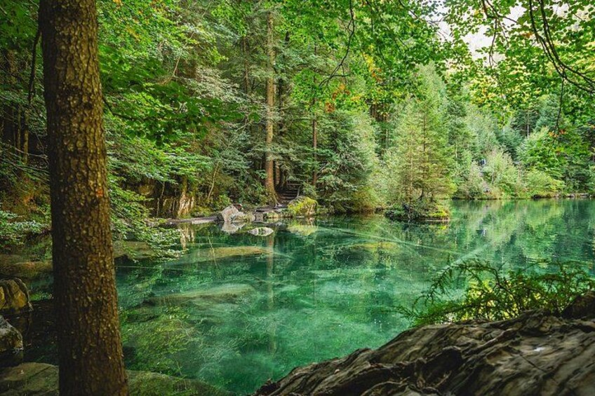 Bernese Oberland Small-Group Tour: Interlaken & Bern 1