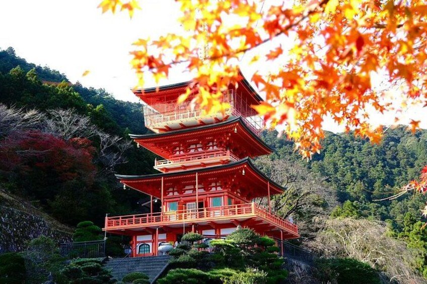 A multi-tiered red pagoda surrounded by lush greenery and autumn leaves. 5