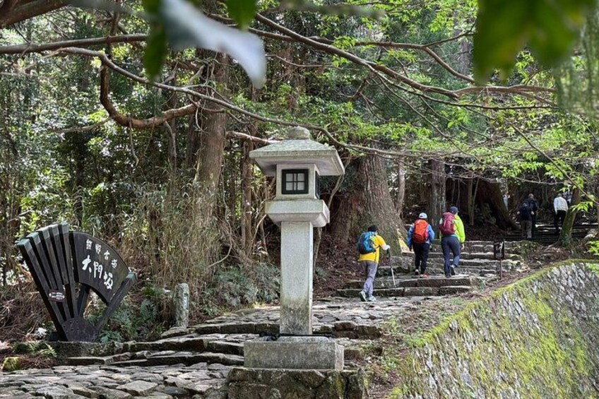 A stone staircase in a forested area with hikers. 2