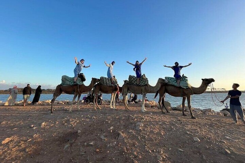 Camel Riding Experience by Flamingos River 2