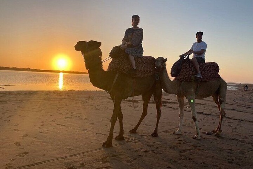 Camel Riding Experience by Flamingos River 5