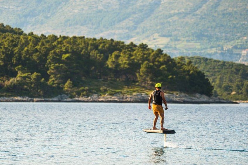 A person surfing on a calm body of water with a forested coastline in the background. 5