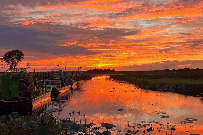 Ein Sonnenuntergang über einem Fluss mit Industriegebäuden und einem Baum. 1