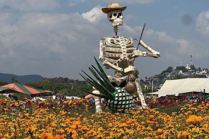 Una escultura de esqueleto en un campo de cempasúchil. 3