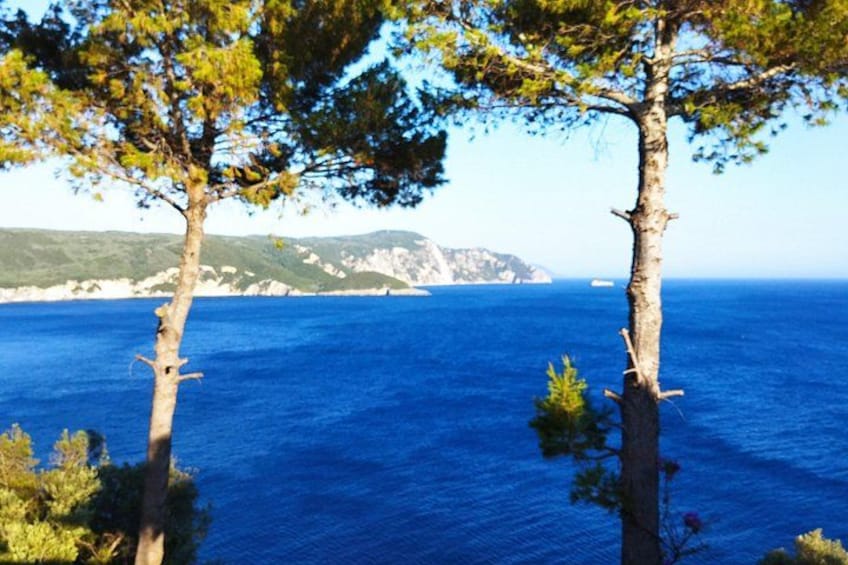 A coastal landscape with trees and a clear blue sea. 3