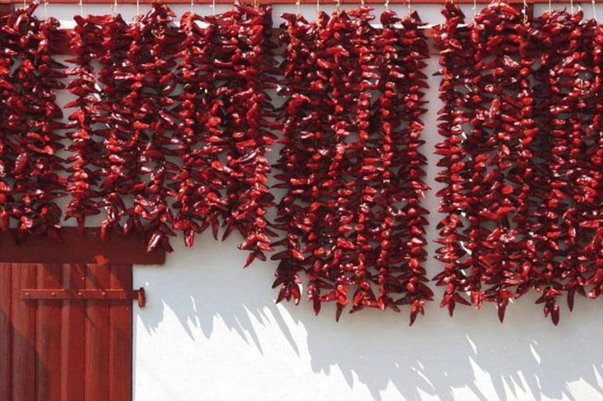 A wall with red chili peppers hanging in rows. 1