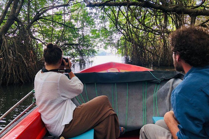 A boat with a red canopy, surrounded by mangrove trees. 2