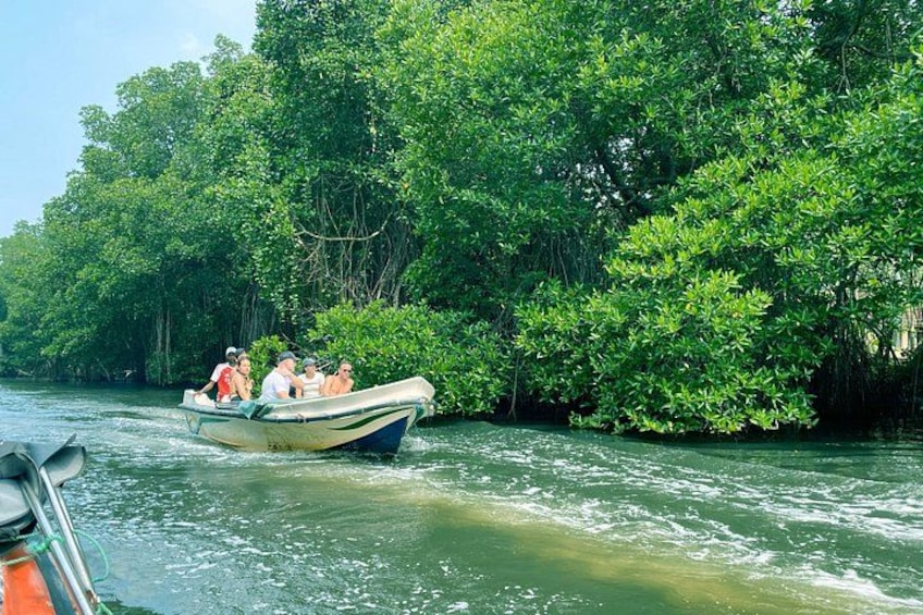 Bentota River Safari: Crocodiles, Monkeys, Birds, Mangrove Forest 2