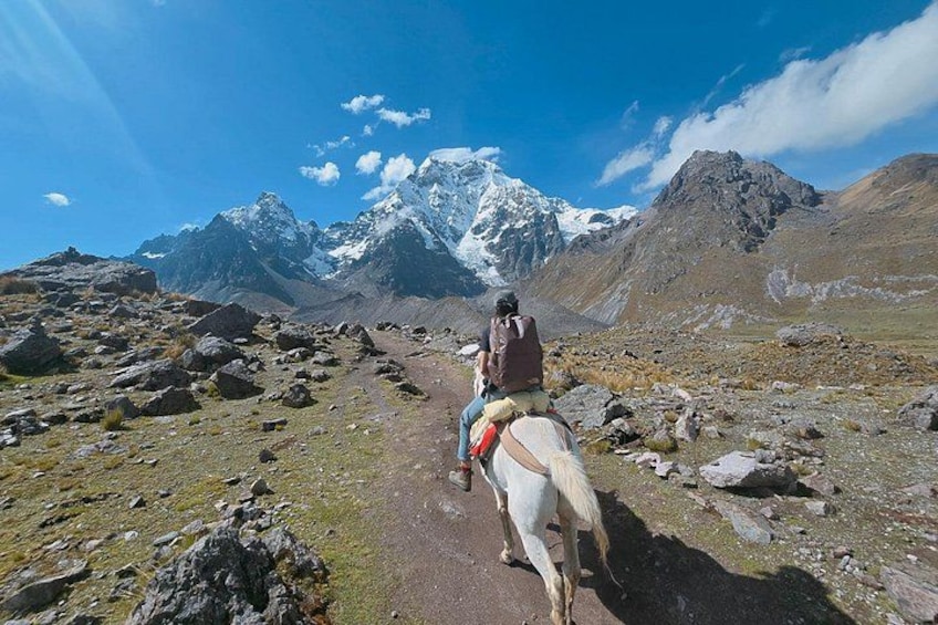 Une personne à cheval, sur un sentier de montagne rocailleux, avec des sommets enneigés en arrière-plan. 5