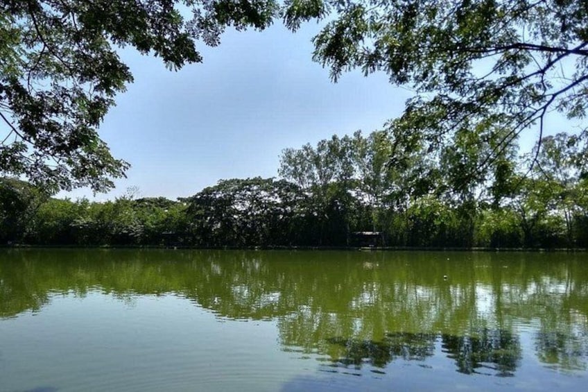 A calm lake surrounded by dense trees and a clear sky. 2