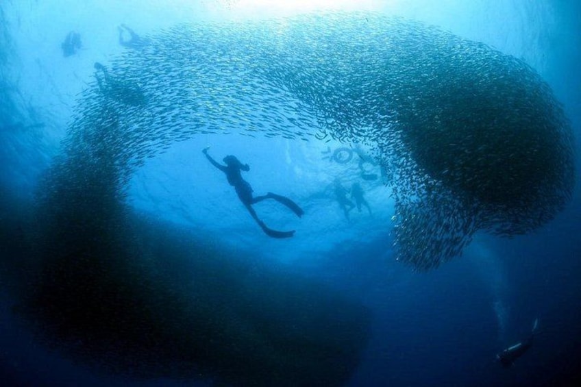Cebu Tour Package 3D2N 1