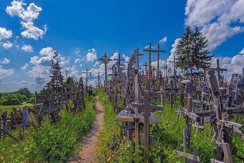 A cemetery with numerous crosses and a clear sky. 3