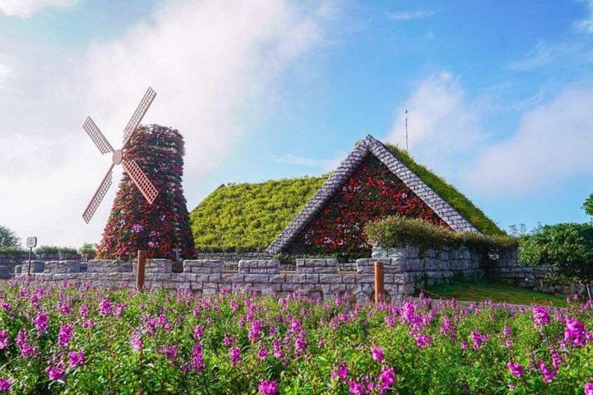 A windmill, a house with a green roof, and a field of purple flowers. 4