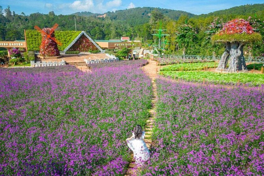 A garden with purple flowers, a windmill, and a treehouse. 2