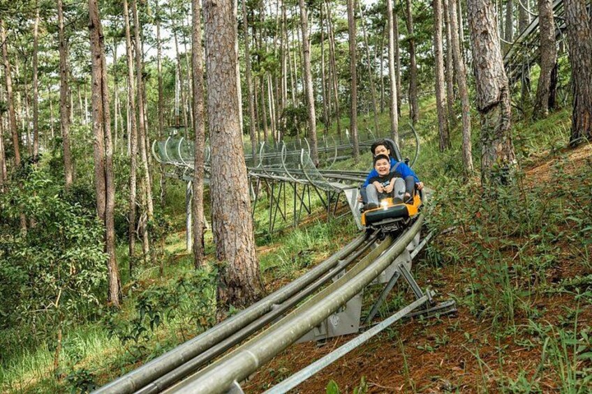 A person on a zip line in a forest. 5