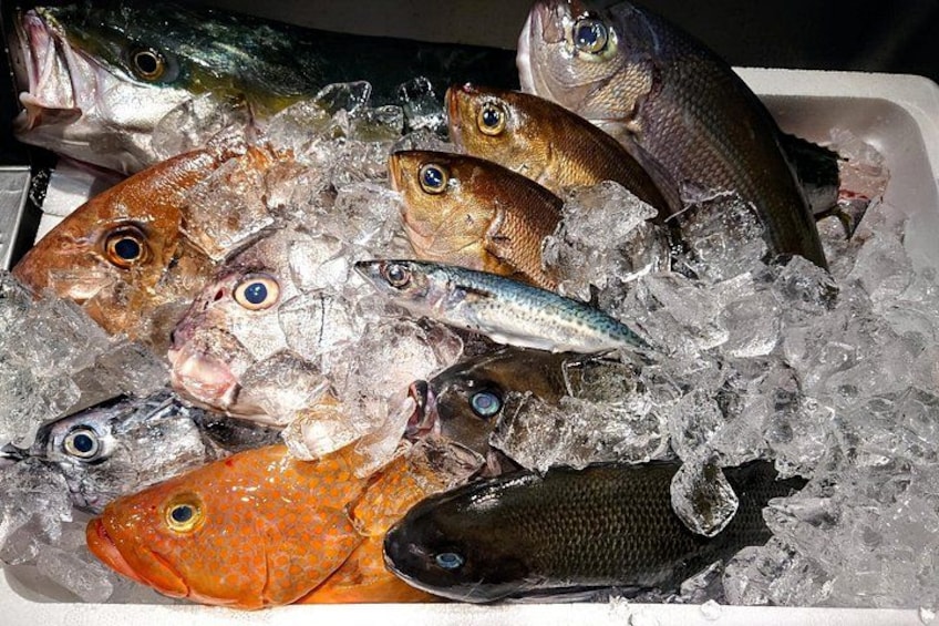 A variety of fish on ice. 3