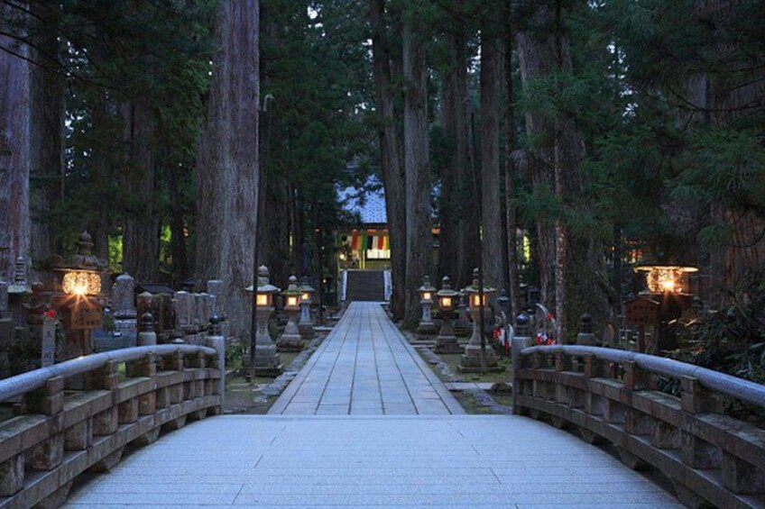 Private Customizable Day Tour in Kyoto Koyasan and Osaka 3