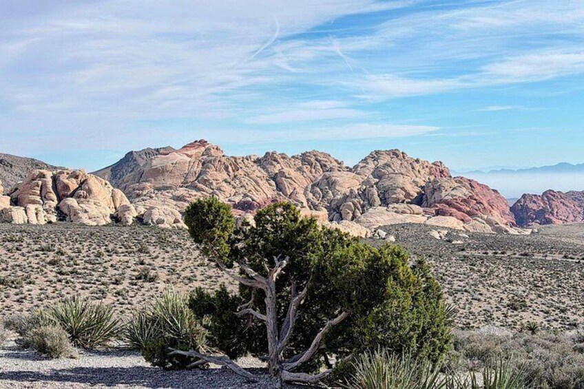 Red Rock Canyon and Hoover Dam Day Trip from Las Vegas 4