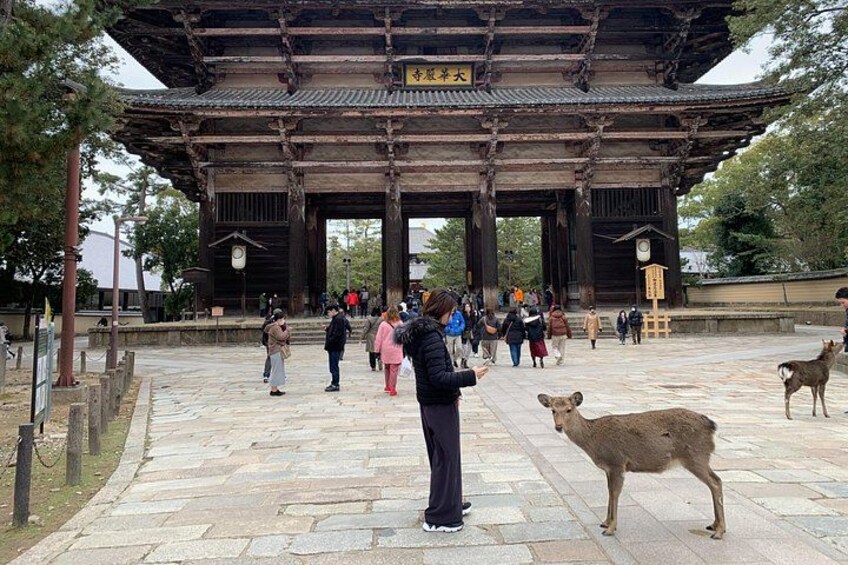 A traditional wooden gate with people walking in front of it. 5
