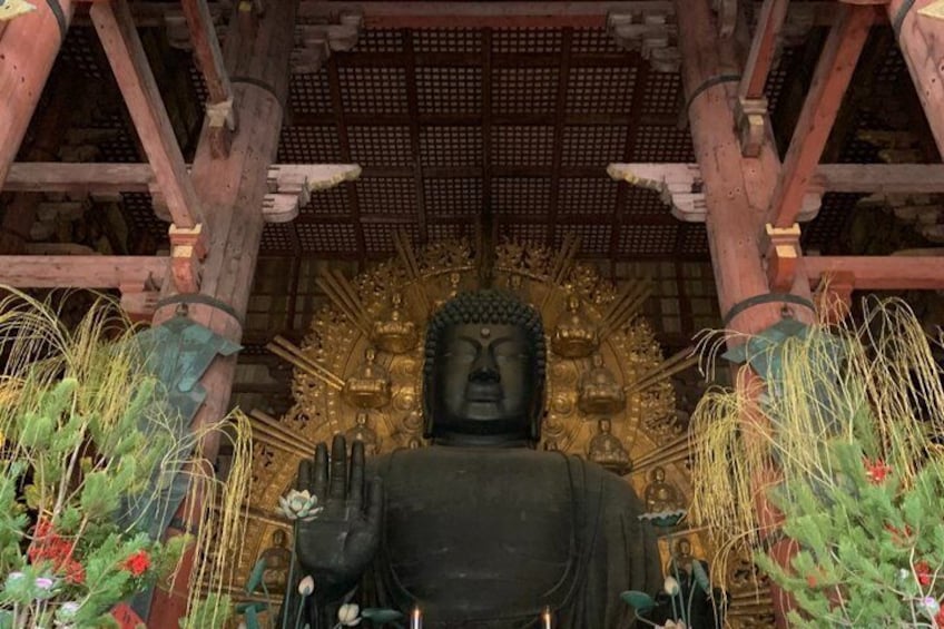 Nara Deer, Great Buddha & Traditional Mochi Experience 2
