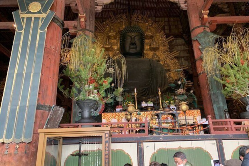 Nara Deer, Great Buddha & Traditional Mochi Experience 4