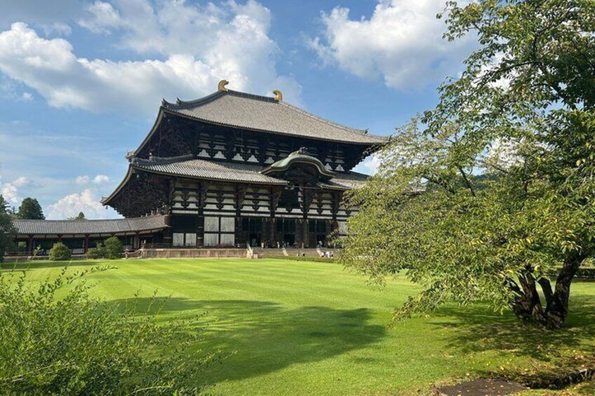 Nara Deer, Great Buddha & Traditional Mochi Experience 3