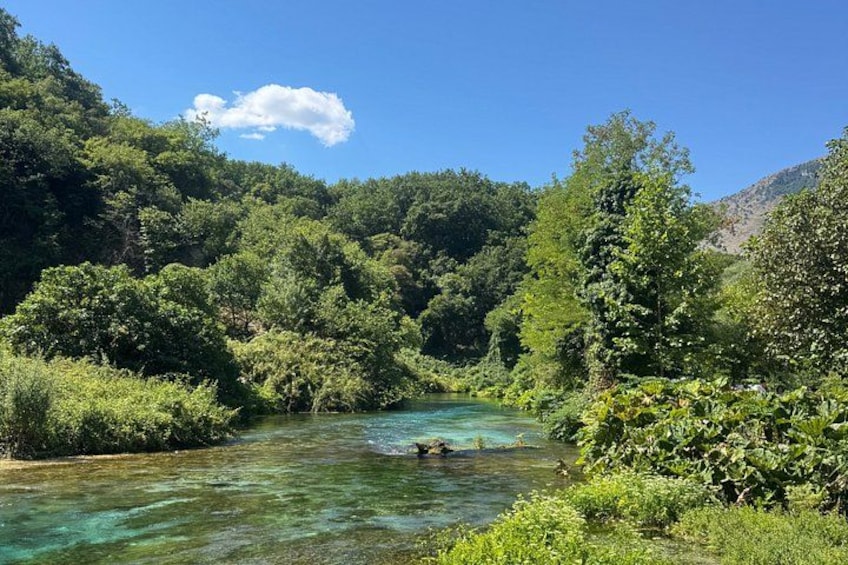 A river flowing through a forested area with dense greenery and hills in the background. 3