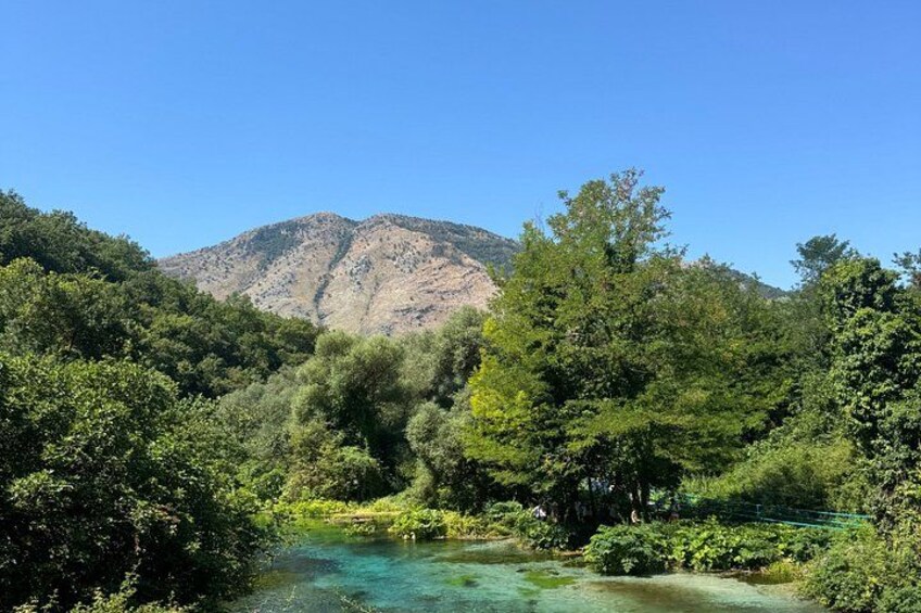 A river surrounded by dense greenery and a mountain in the background. 5