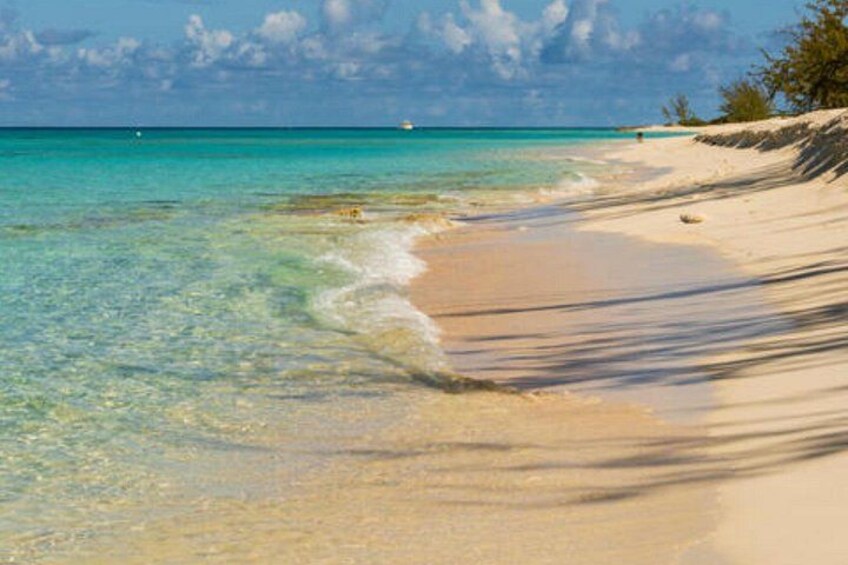 A beach with clear turquoise water, sandy shore, and sparse vegetation. 2