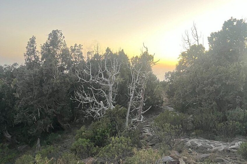 Soudah Mountains Hiking Trail 2 4