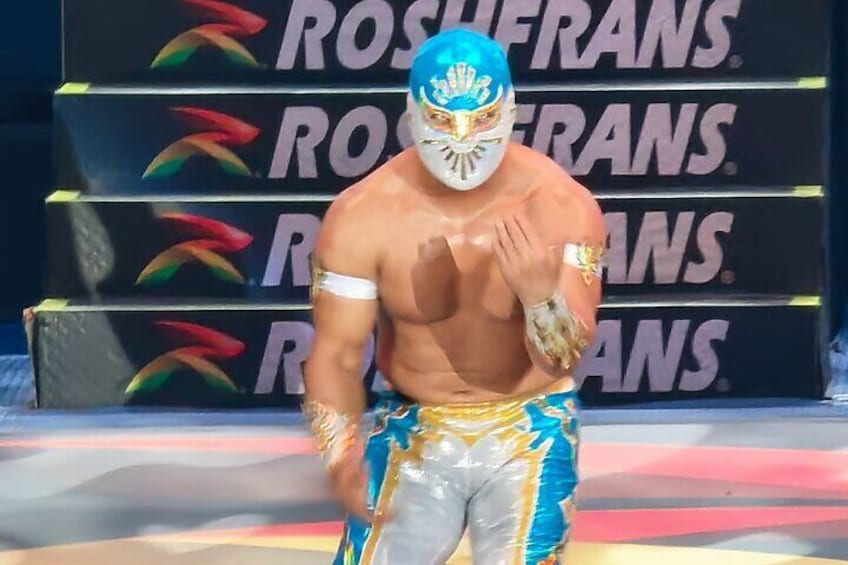 A wrestler in a ring with a backdrop displaying the word "ROSFANS". 4