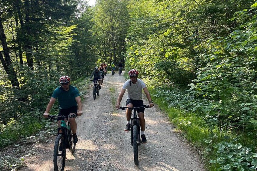 City and Mountain Bike Tour in Salzburg 2