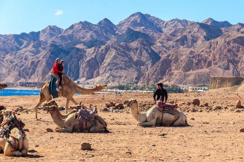 From Sharm:Dahab & Colored Canyon Jeep Safari, Snorkeling & Lunch 4