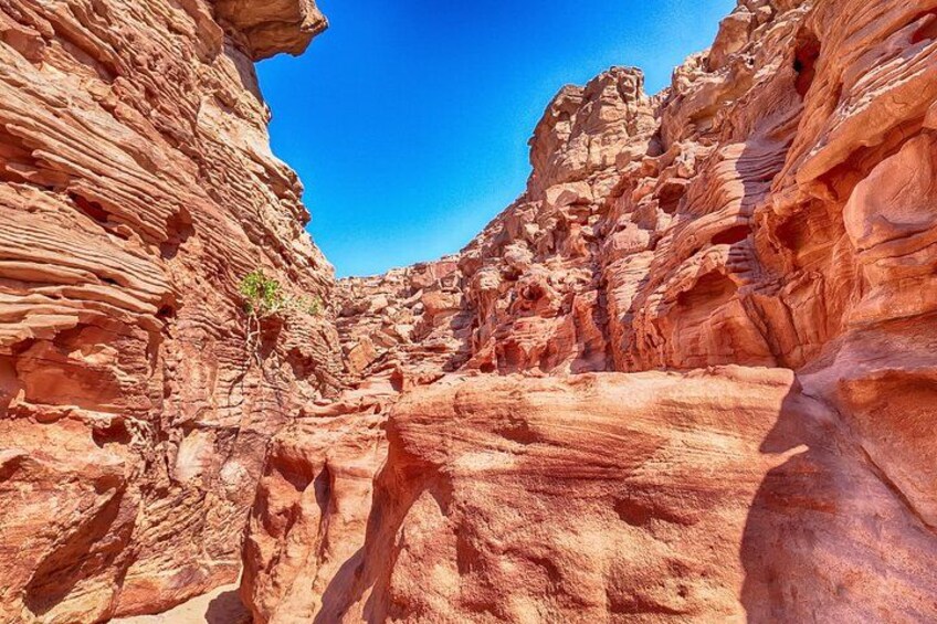From Sharm:Dahab & Colored Canyon Jeep Safari, Snorkeling & Lunch 4