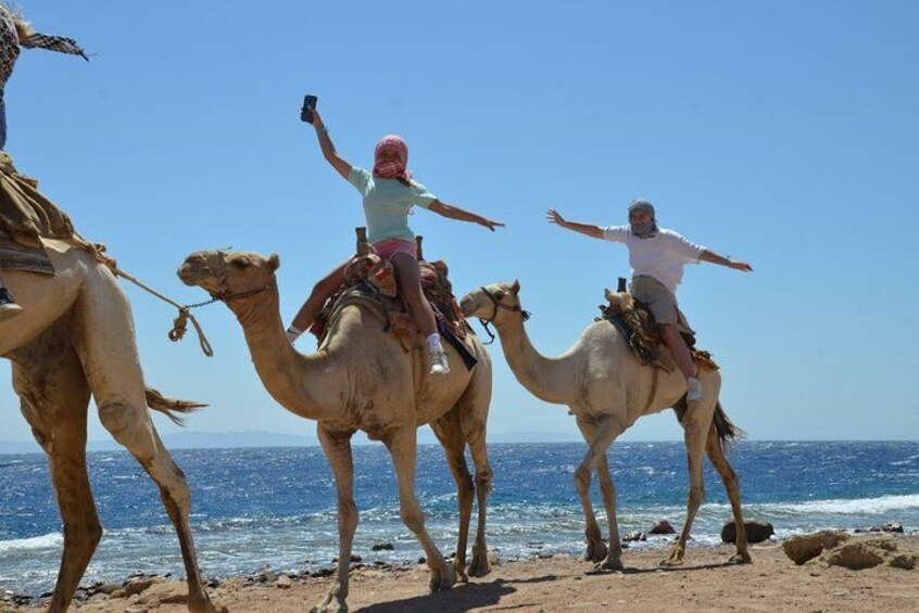 From Sharm:Dahab & Colored Canyon Jeep Safari, Snorkeling & Lunch 4