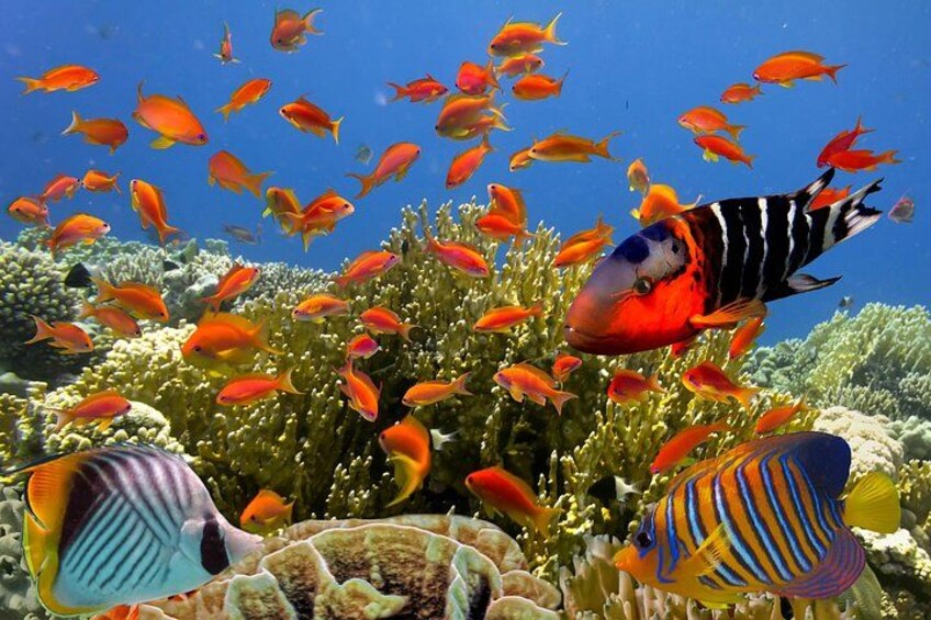 From Sharm:Dahab & Colored Canyon Jeep Safari, Snorkeling & Lunch 3