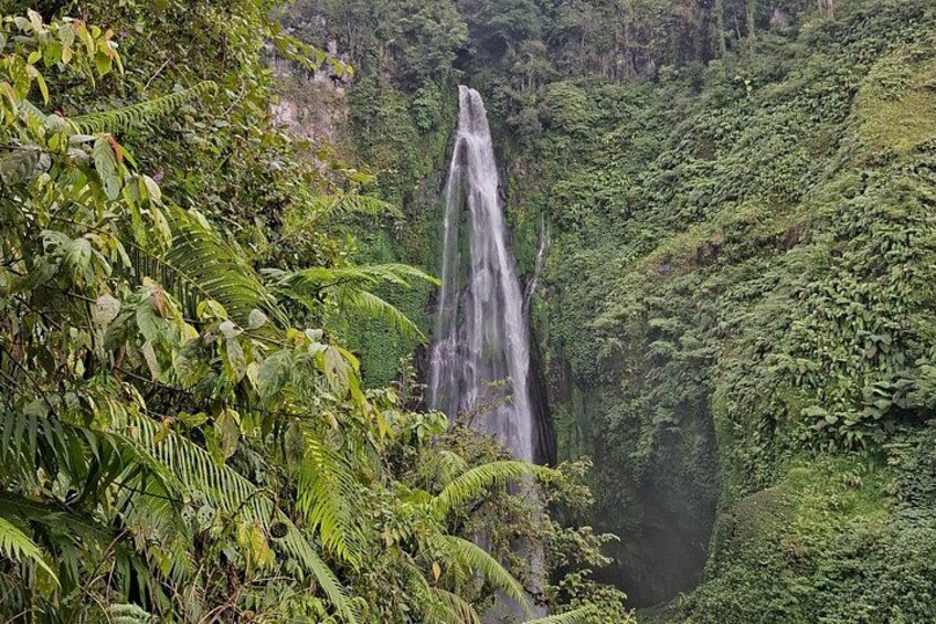 Een waterval omgeven door weelderig groen. 4